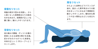 太りやすさの元は・・・猫背改善！！　袋井磐田整体院　猫背　肩こり　　