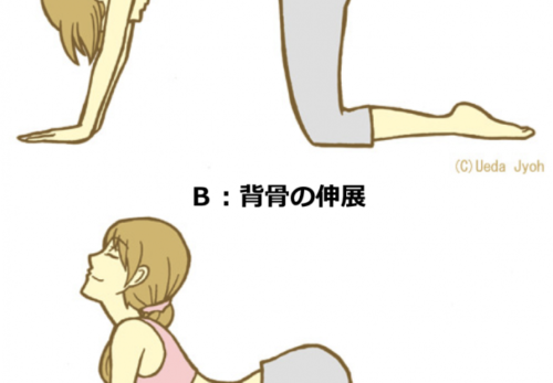 磐田　整体　背中の張り解消ストレッチ