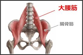 磐田　肩こり　腰痛　冷え