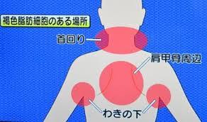磐田　肩こり　肩こりの方は絶対！痩せやすい身体にしたい方も！〇〇をほぐすこと！！