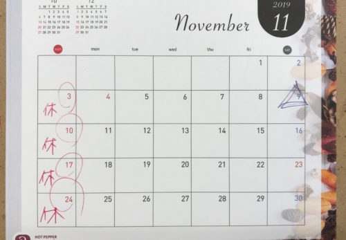 ～～１１月定休日のお知らせ～～
