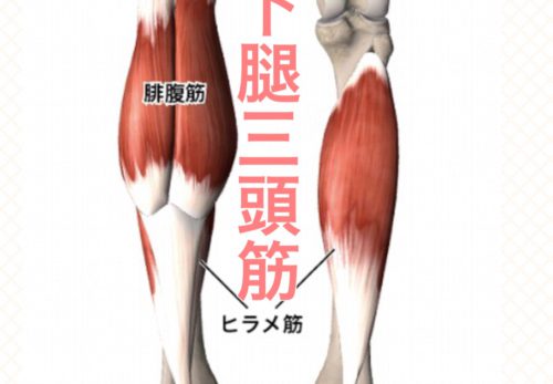 【老化】の始まりはふくらはぎからだった！