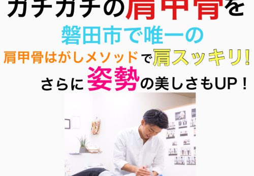 🌸春のからだ応援新年度キャンペーン🌸