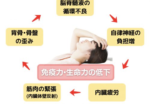 首肩こりの原因は「脳」にありました。