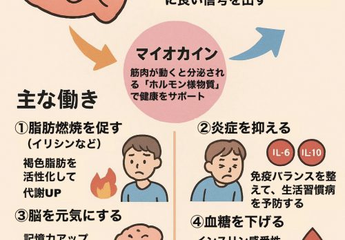 整えて、鍛える。